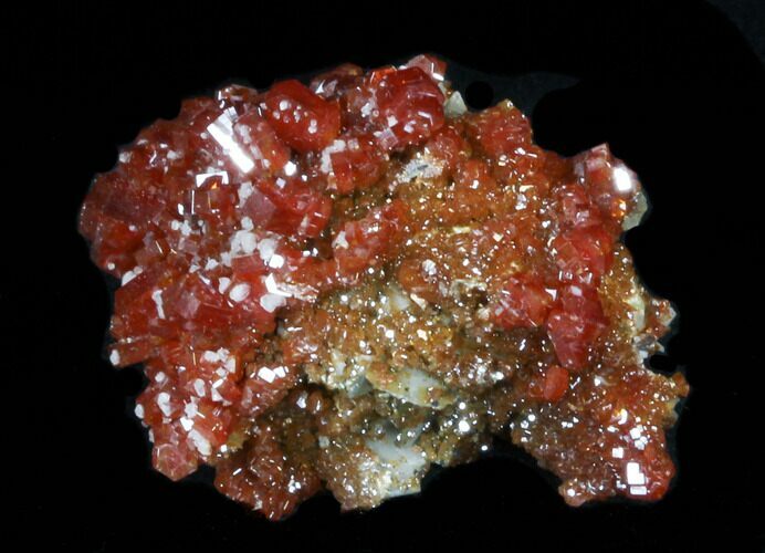 Red Vanadinite Crystal Cluster - Morocco #36983